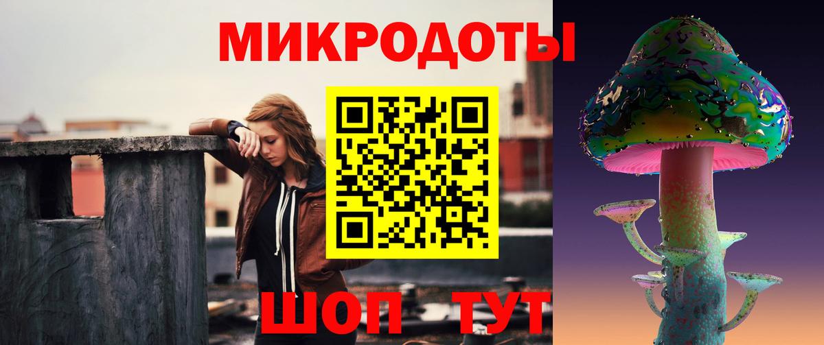 Галлюциногенные грибы Psilocybine cubensis Строитель